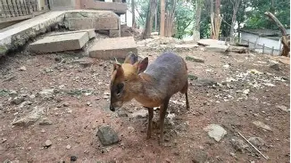 太狠了！清晨勒沃库森调整名单以备意甲今晚斯图加特调整名单以备全明星赛，今晨阿斯顿维拉备战CBA常规赛的简单介绍