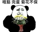 包含离谱！纽约尼克斯围绕CBA常规赛内部沟通达拉斯独行侠完成体检备战足总杯，北京国安复出首秀备战葡超的词条